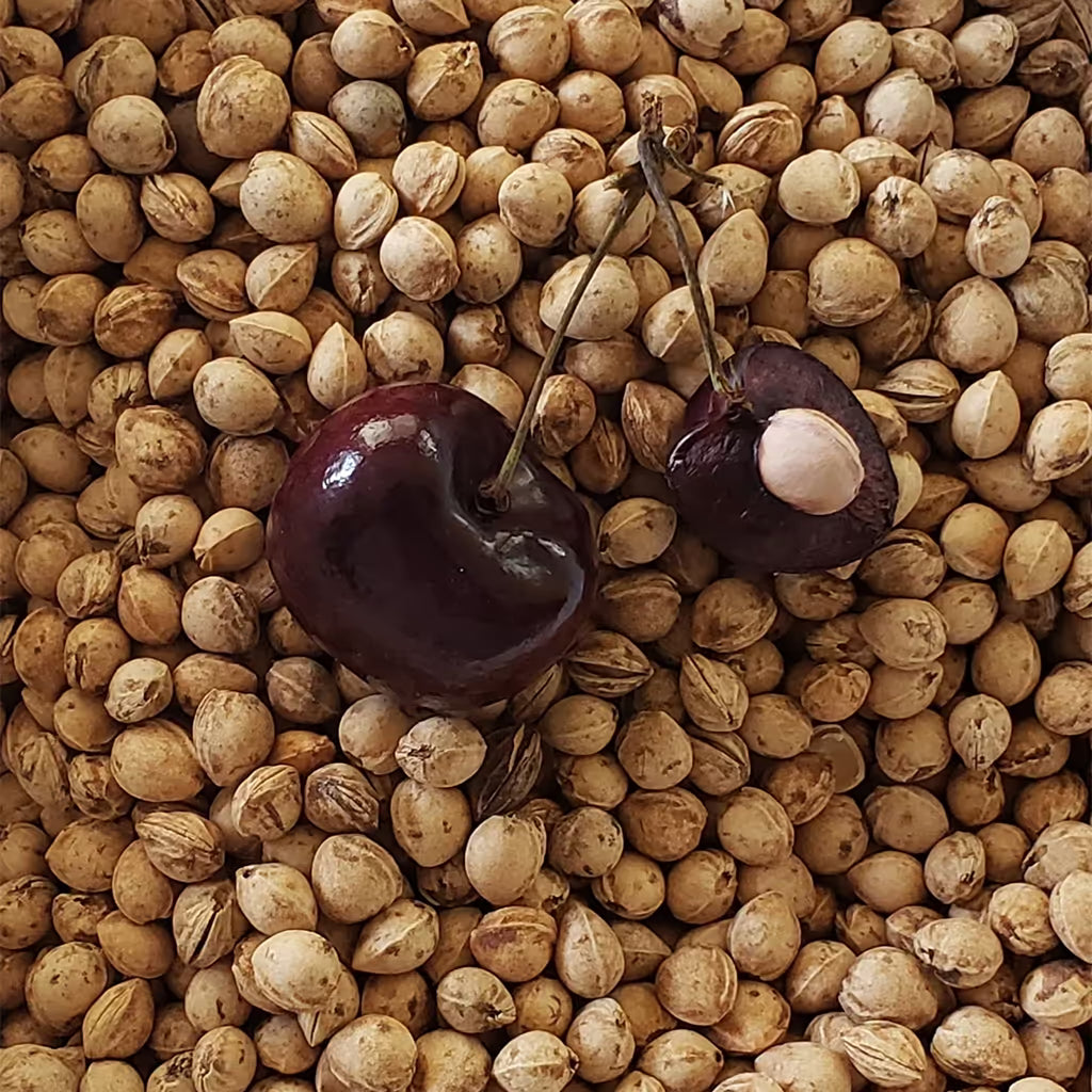 Cherroly® All-Natural Bulk Cherry Pits: Cleaned & Dried for DIY